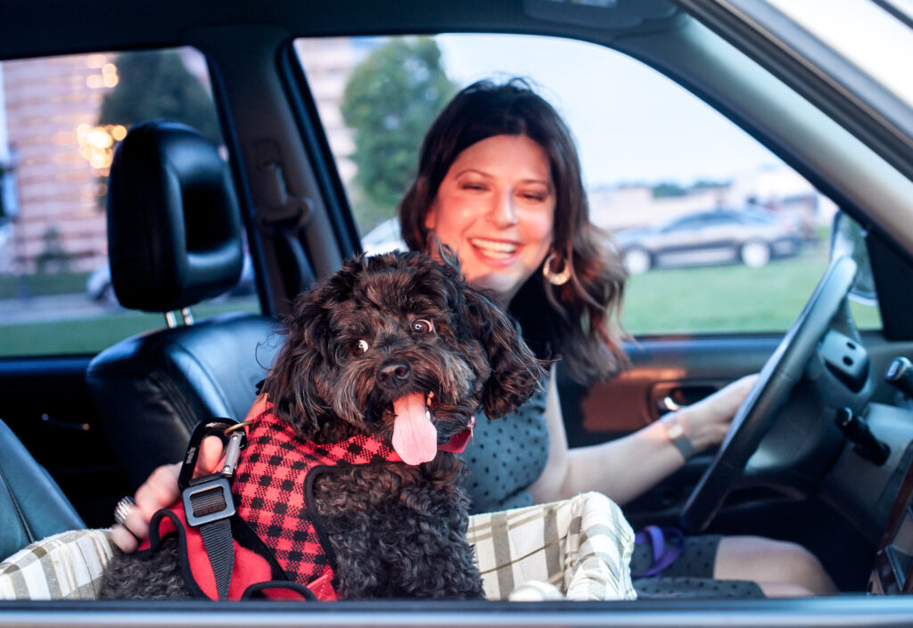 This is a photo by Tonya Dean Photography of Kat Stano and her dog Cosette riding in the car.