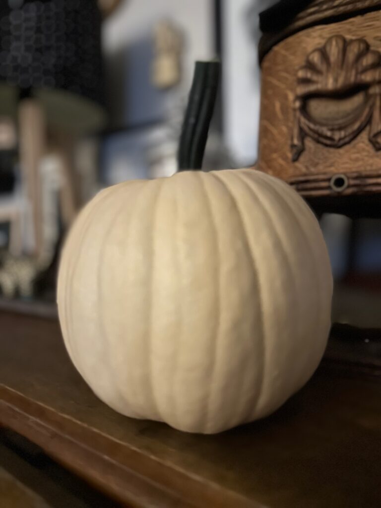 This is a photo of a white pumpkin that Kat grew in her front yard.