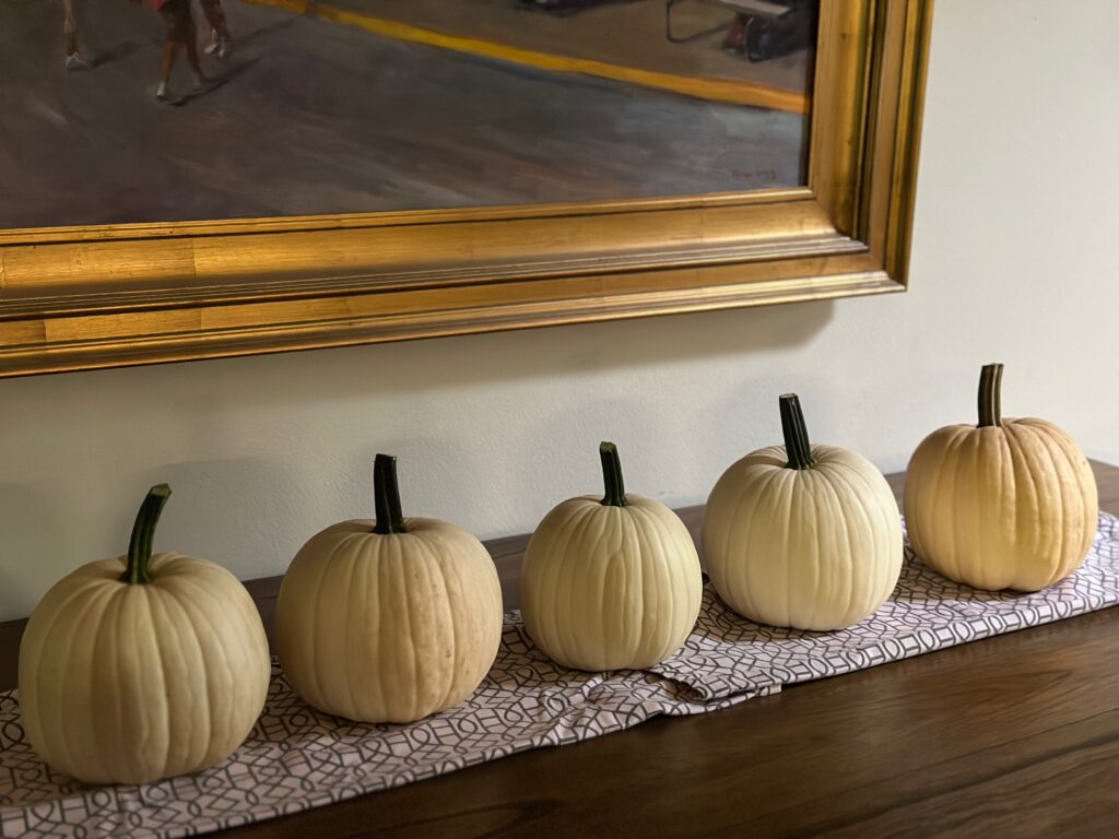 This is a photo of five pumpkins sitting on a kitchen table, grown by Kat in her front yard pumpkin patch.