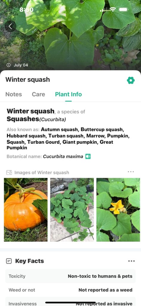 This is a screenshot of the Picture This plant app.