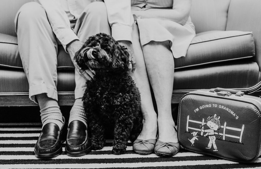 This is a photo by Tonya Dean Photography of Kat's dog, Cosette, sitting by her "I'm going to Grandma's" suitcase.