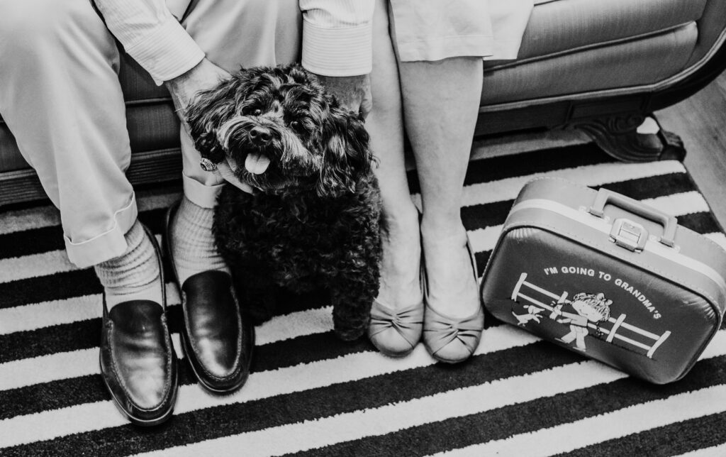 This is a photo by Tonya Dean Photography with Kat's dog sitting by a couple's feet and her suitcase that says, "I'm going to Grandma's" as an example of how to pack.