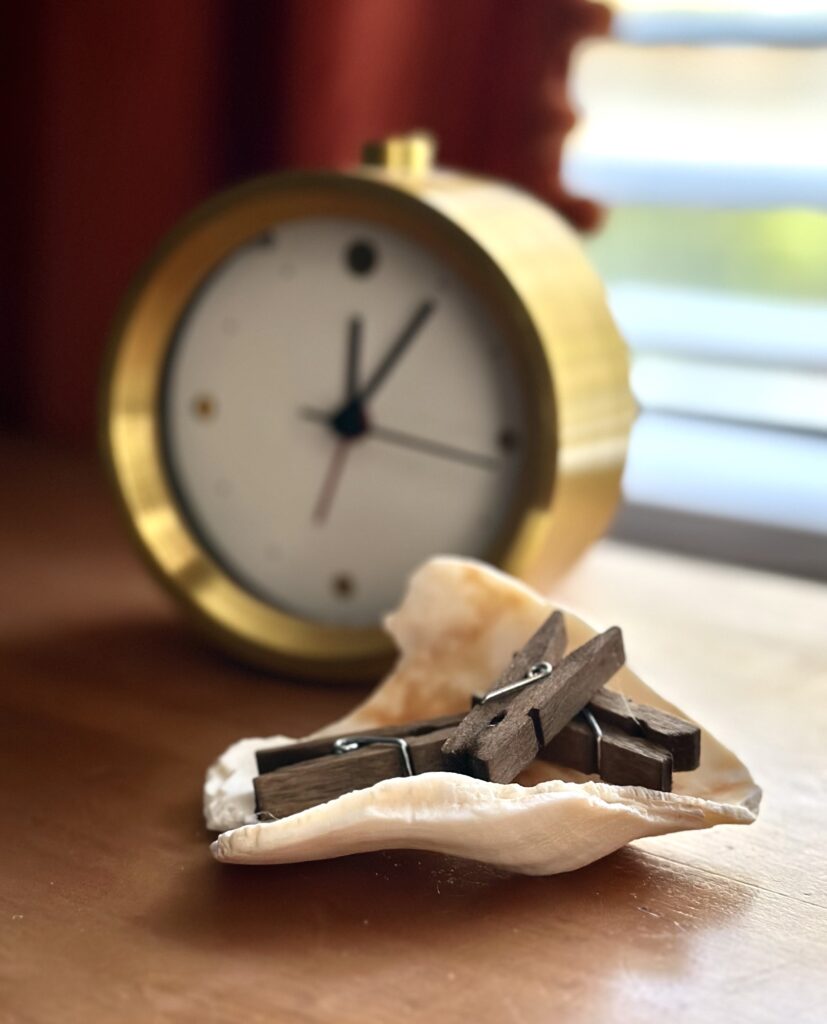 These are 5 examples of environmentally sustainable work practices with a seashell paper clip holder, curtains, window seat, secondhand desk, and a desk clock.