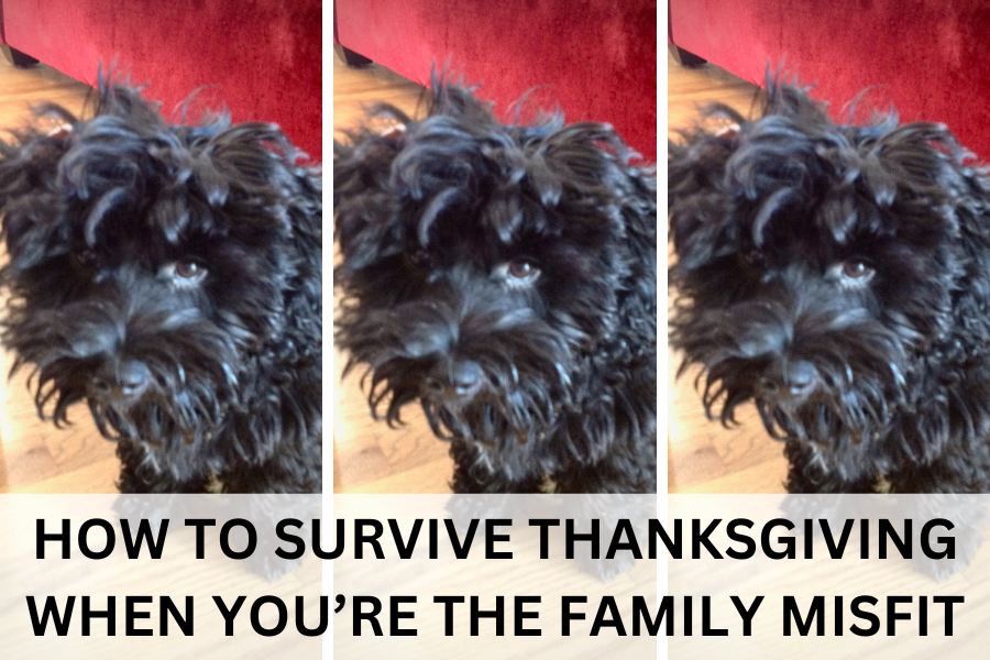 how to survive thanksgiving