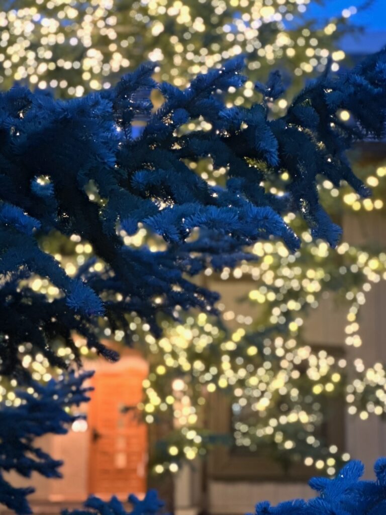 This is a pretty blue spruce with twinkle lights behind it to illustrate ideas for sustainable Christmas gifts.