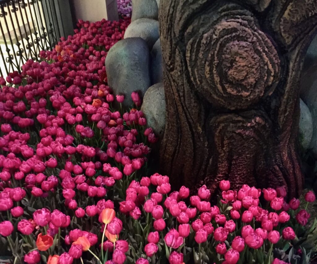 This is a picture of a whimsical tree trunk surrounded by pink tulips as an example of cute ideas for wedding favors.