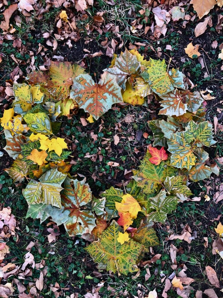 This is a heart made out of fall leaves by Kat Stano to discuss good qualities in a person for a job.