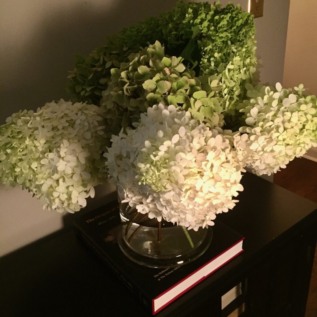 This is a big vase of hydrangeas from Kat's friend's garden to show signs you are a nice person.