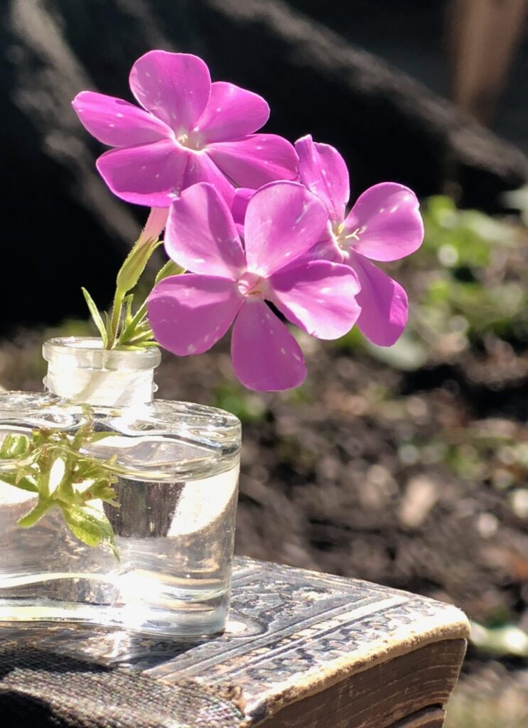 This is a sweet bunch of magenta flowers in a tiny, vintage vase sitting on an antique book to show diy rustic wedding decorations.