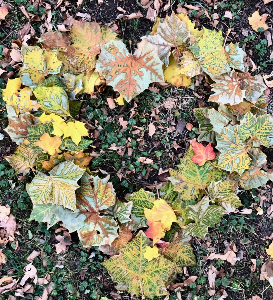 These are leaves in the shape of a heart to show wedding send off ideas daytime.