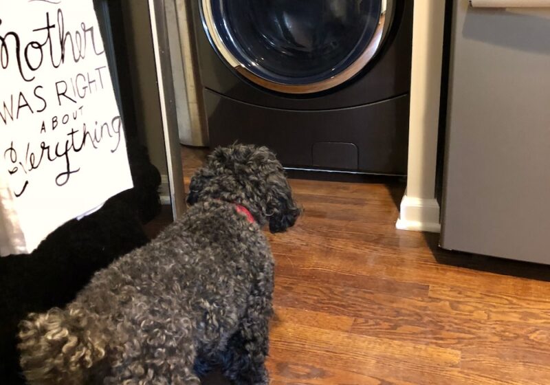 do laundry