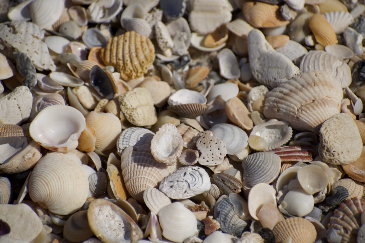 eco friendly things list