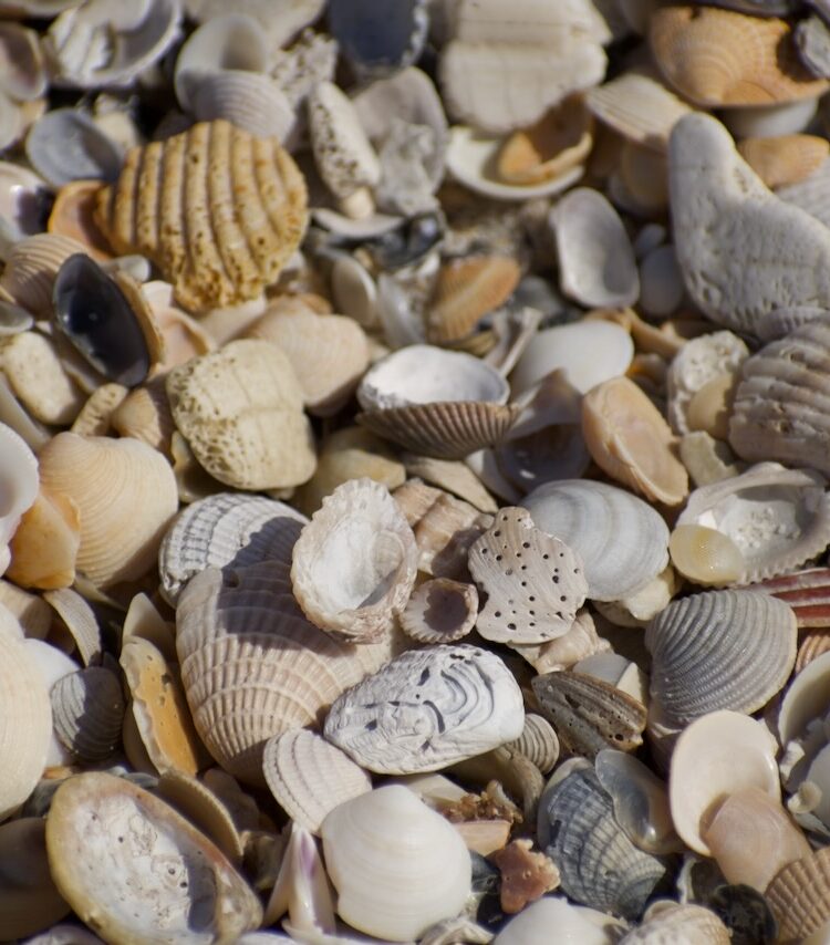 eco friendly things list