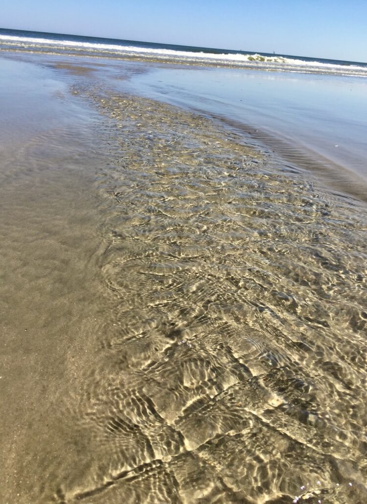 how long does plastic take to decompose in the ocean