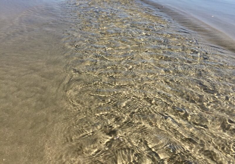 how long does plastic take to decompose in the ocean