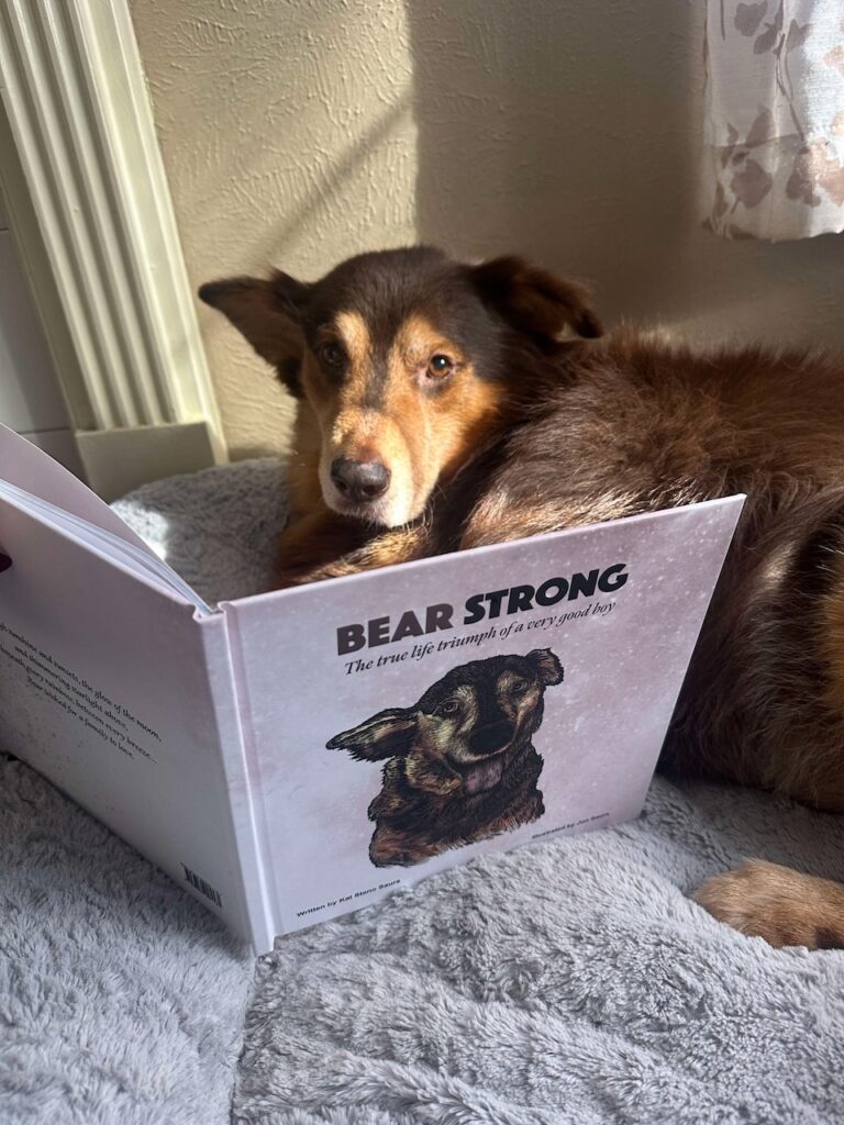 This is the book Bear Strong Bear was the main star in.