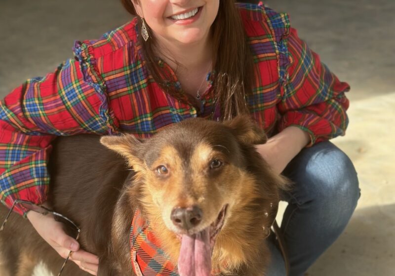 what are the rights of animals