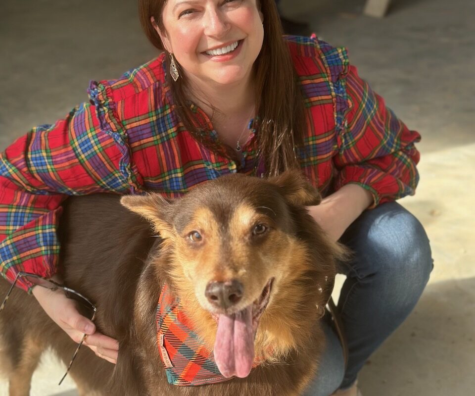 what are the rights of animals